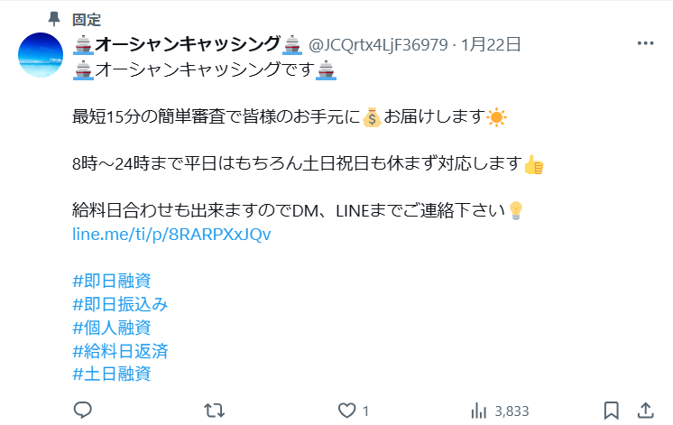 オーシャンキャッシングの固定ポスト
集客内容