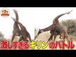 ソフト闇金キリンについての記事のアイキャッチ画像
